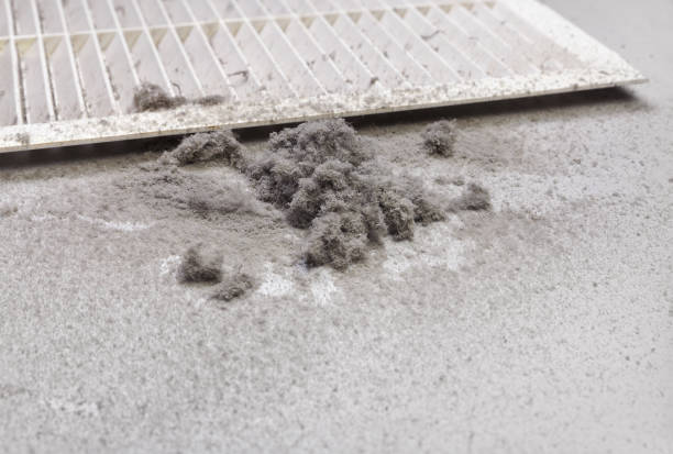 Best Affordable HVAC Duct Cleaning  in Bartow, FL