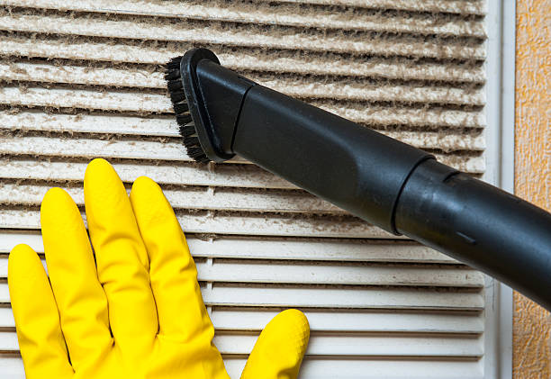 Best Ductwork Cleaning Services  in Bartow, FL